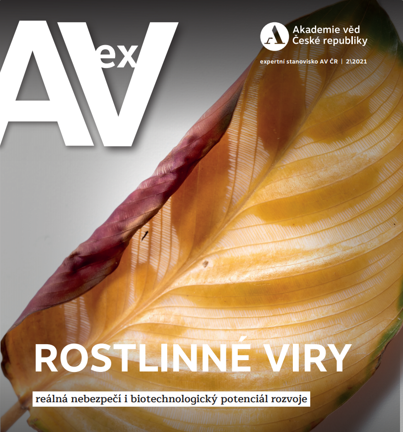 AVEX rostlinne viry